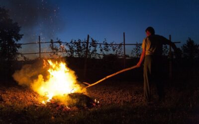 Qué Hacer en Caso de Incendio: Guía Rápida de Prevención y Acción